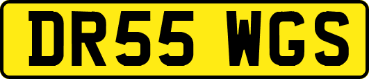 DR55WGS