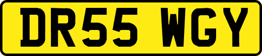 DR55WGY