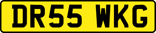 DR55WKG