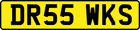 DR55WKS