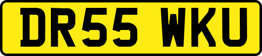 DR55WKU