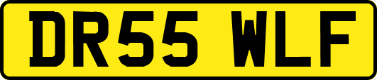 DR55WLF