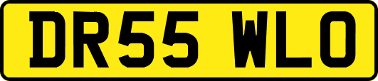 DR55WLO