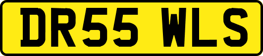 DR55WLS