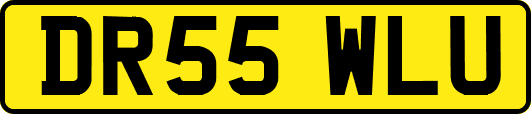 DR55WLU