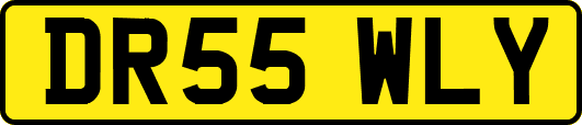 DR55WLY