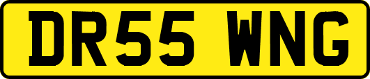 DR55WNG