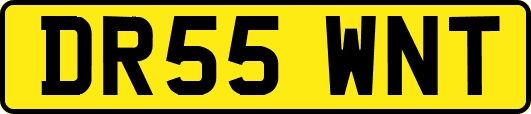 DR55WNT