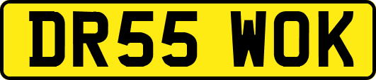 DR55WOK