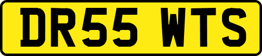 DR55WTS