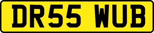 DR55WUB