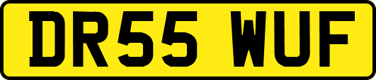 DR55WUF
