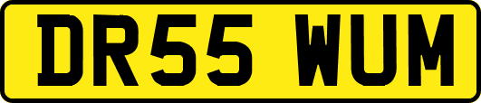 DR55WUM