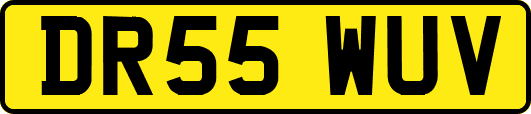 DR55WUV
