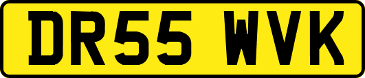 DR55WVK
