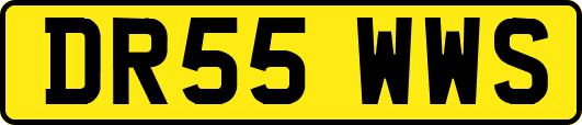 DR55WWS