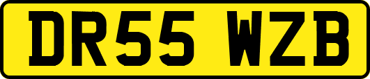 DR55WZB