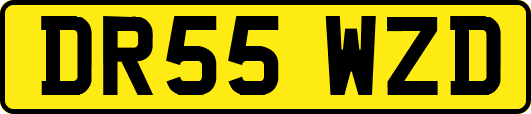 DR55WZD
