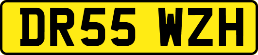 DR55WZH
