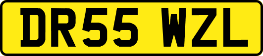 DR55WZL