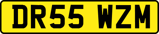 DR55WZM