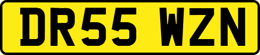 DR55WZN