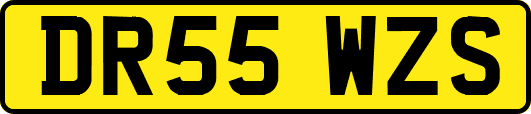 DR55WZS
