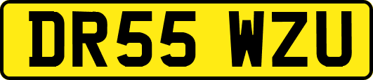 DR55WZU