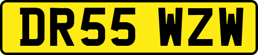 DR55WZW
