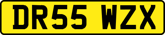 DR55WZX
