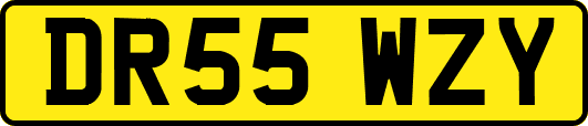 DR55WZY
