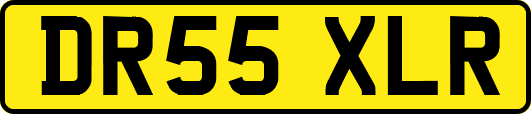 DR55XLR
