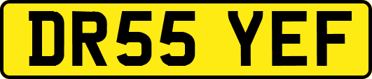 DR55YEF
