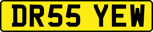 DR55YEW