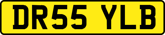 DR55YLB