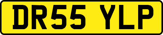 DR55YLP