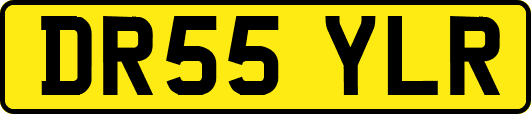 DR55YLR