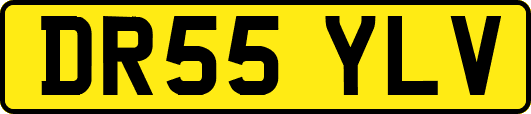 DR55YLV
