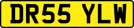 DR55YLW