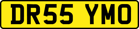 DR55YMO