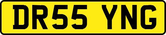 DR55YNG