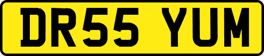 DR55YUM