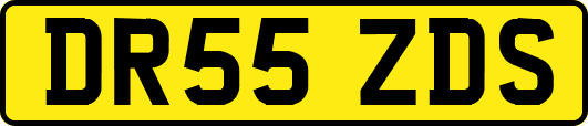 DR55ZDS