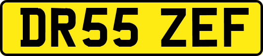 DR55ZEF