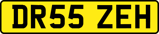 DR55ZEH