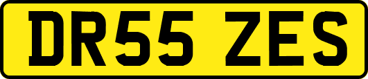 DR55ZES