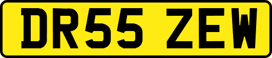 DR55ZEW