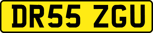DR55ZGU