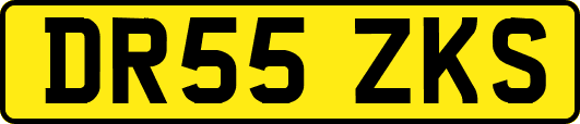 DR55ZKS