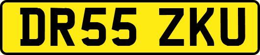 DR55ZKU